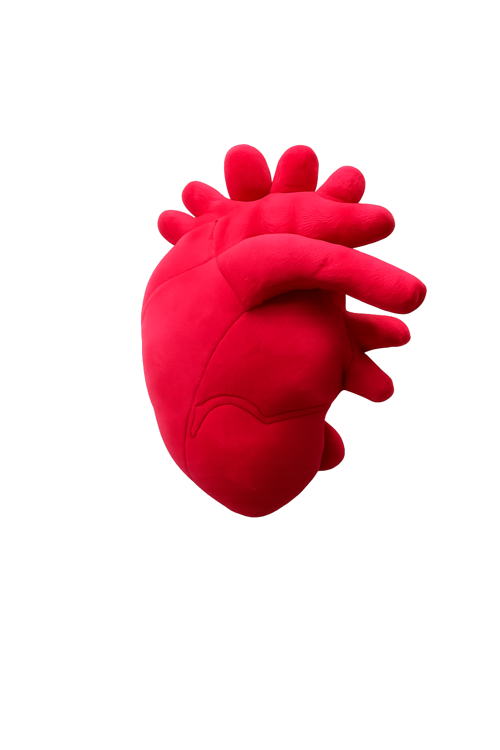 Anatomical Heart Plush – 30cm Soft Realistic Heart Pillow