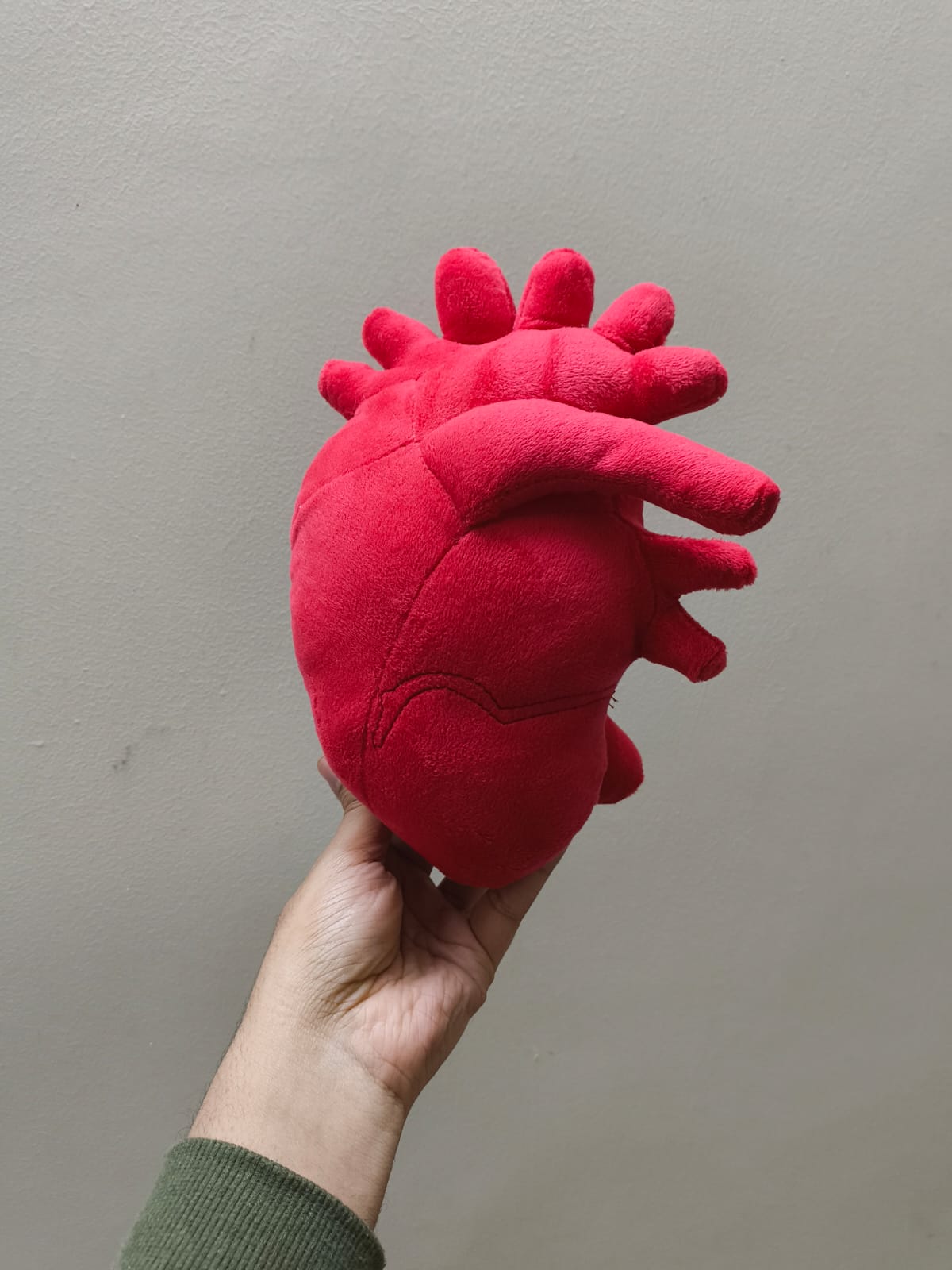 Anatomical Heart Plush – 30cm Soft Realistic Heart Pillow
