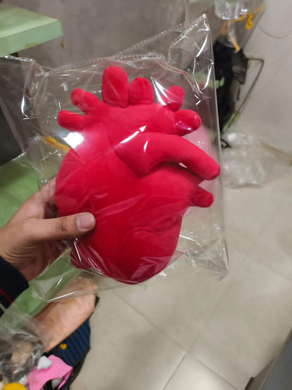 Anatomical Heart Plush – 30cm Soft Realistic Heart Pillow